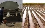 خطر تنش آبی در 2 ماه آینده / وزیر کشاورزی به وعده تغییر الگوی کشت عمل نکرد / احتمال کمبود محصولات اساسی کشاورزی در سال آینده 