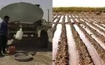 خطر تنش آبی در 2 ماه آینده / وزیر کشاورزی به وعده تغییر الگوی کشت عمل نکرد / احتمال کمبود محصولات اساسی کشاورزی در سال آینده 