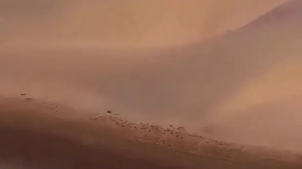 ببینید / تلاقی کویر و دریا / عجیب اما واقعی در ایران + فیلم 