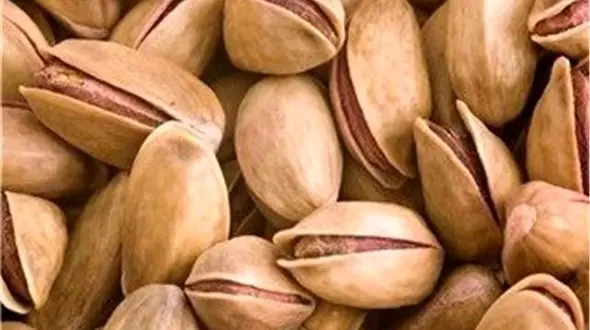 کشف 20 تن پسته سرقتی به ارزش 15میلیارد ریال در انار