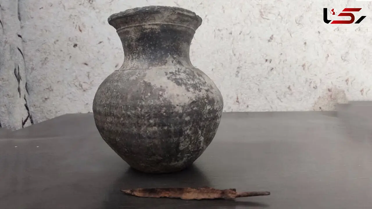 گنج زن یاسوجی همه را شگفت زده کرد 