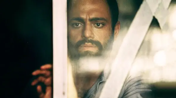 تمجید همسر شهید علیرضا نوری از «ویلایی‌ها»