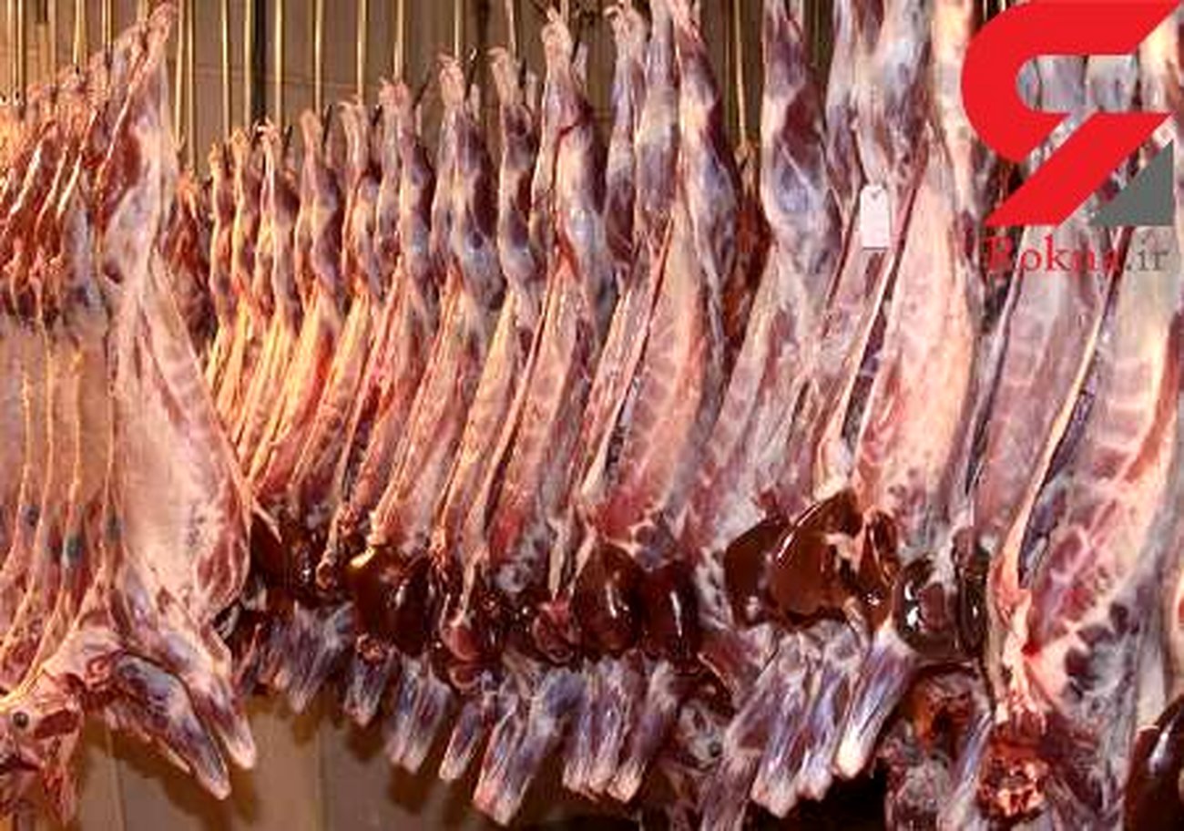 توزیع گوشت تازه گوسفندی در ایام عید