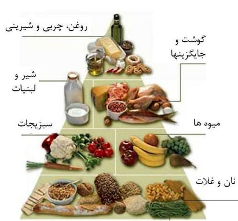 رژیم غذایی