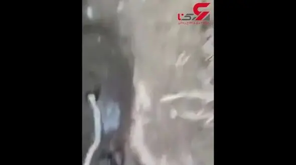 لاشه مار در لوله آب آشامیدنی کرمانشاه+فیلم