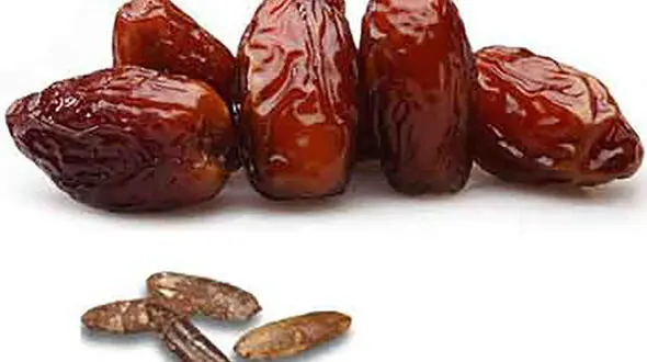 اشتباه خرما نخور! / عجیب ترین فواید هسته خرما