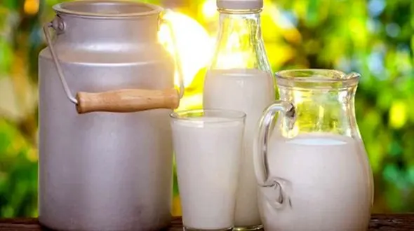 مبتلایان به فقر آهن شیر بز مصرف کنند