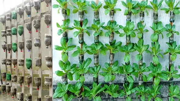 ساخت باغچه خانگی با کمترین هزینه + فیلم