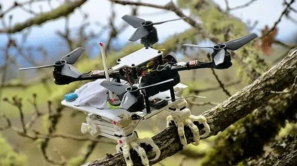 اشتباه نکنید! این ربات است + فیلم 