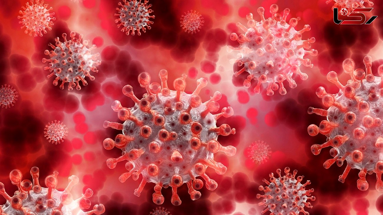 سازمان جهانی بهداشت: سویه "آی‌اچ‌یو" ویروس کرونا تهدیدکننده نیست