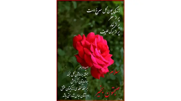 فال ابجد عاشقانه 15 اسفند + فیلم