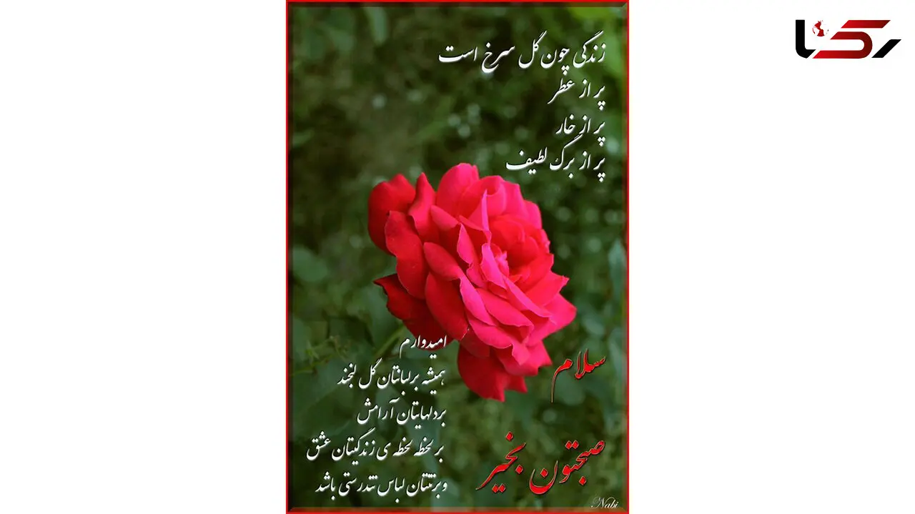 فال ابجد عاشقانه 15 اسفند + فیلم