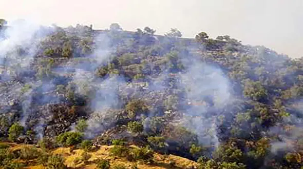 خاموش کردن آتش زاگرس توسط زنان روستایی با دستان خالی ! + فیلم 