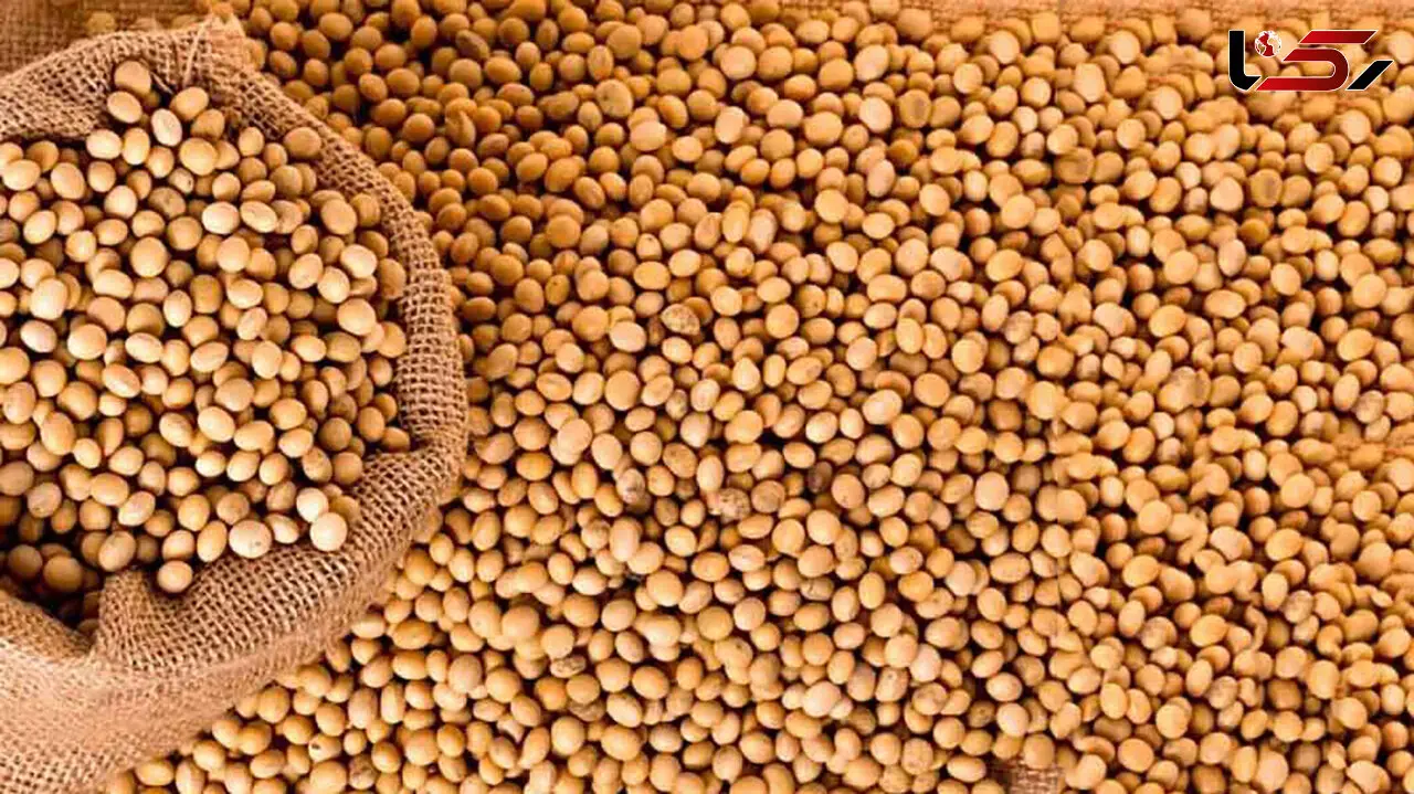 آیا سویا برای سلامتی مفید است؟