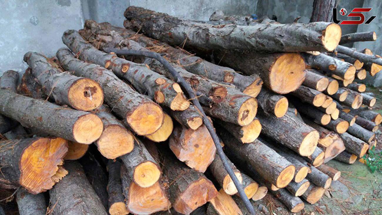 کشف و ضبط بیش از 2 تن چوب قاچاق در آباده
