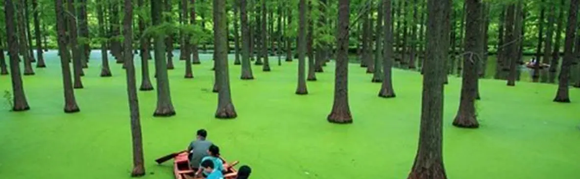 دریاچه ماتچا شگفت‌انگیزترین جاذبه طبیعی استان گویژو چین