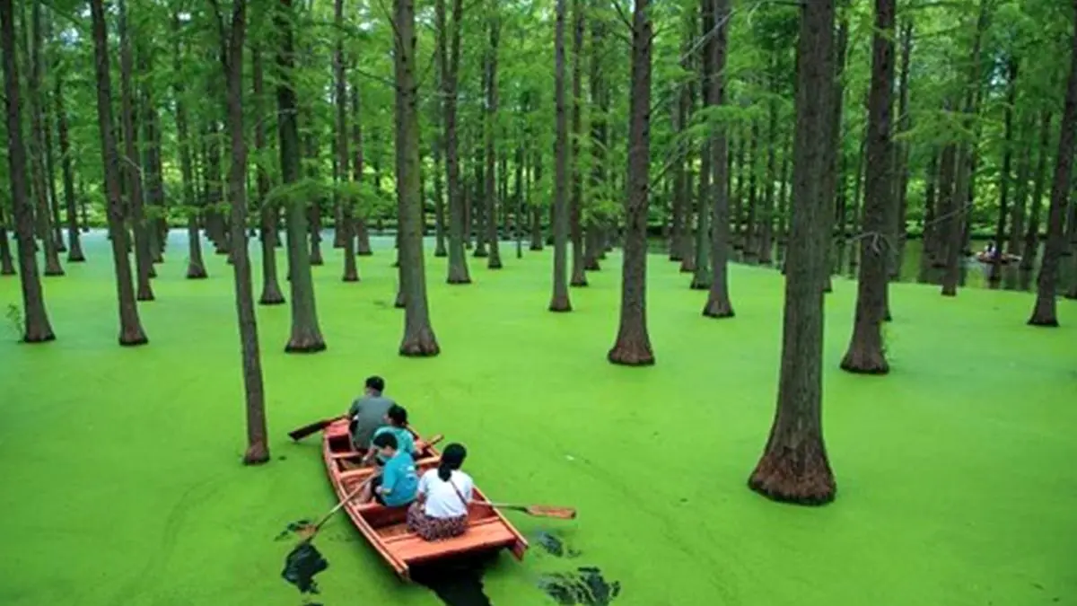 دریاچه ماتچا شگفت‌انگیزترین جاذبه طبیعی استان گویژو چین