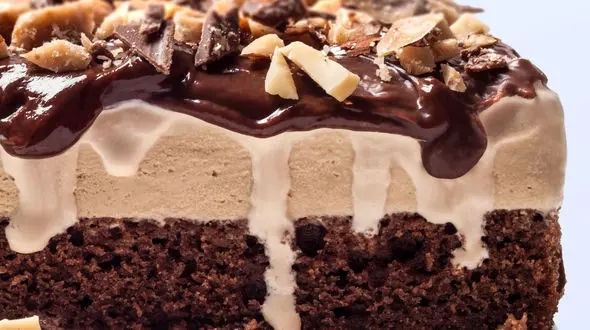 دستور پخت کیک بستنی خانگی