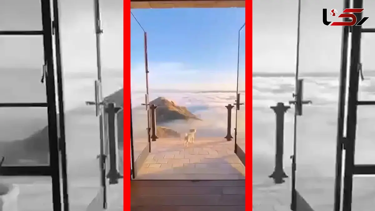 فیلم مناظر هوایی بی‌نظیر مکزیک