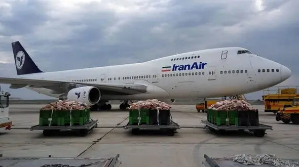 آیا واردات گوشت کنیا به نفع ایران است؟