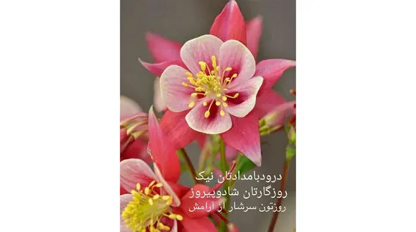 فال ابجد مخصوص 10 آبان + فیلم