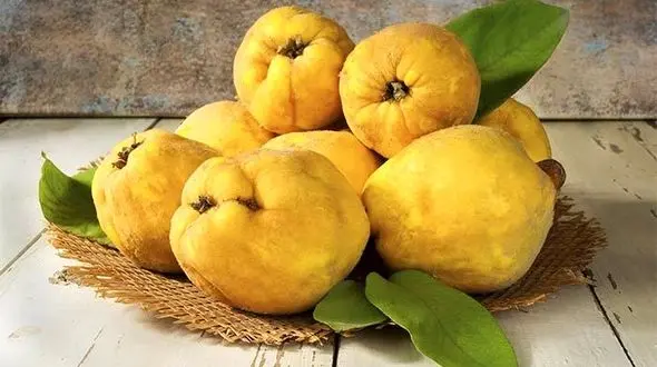 میوه پاییزی که دهان تان را خوشبو می کند