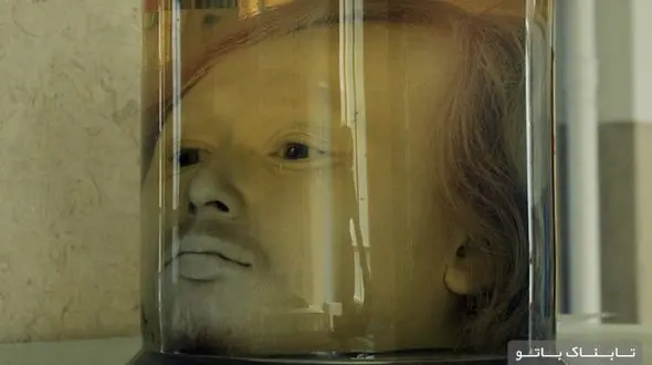 راز سر یک نسان در موزه لیسبون+ تصاویر