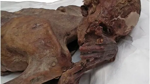  قدیمی‌ترین خالکوبی جهان را ببینید + عکس جالب