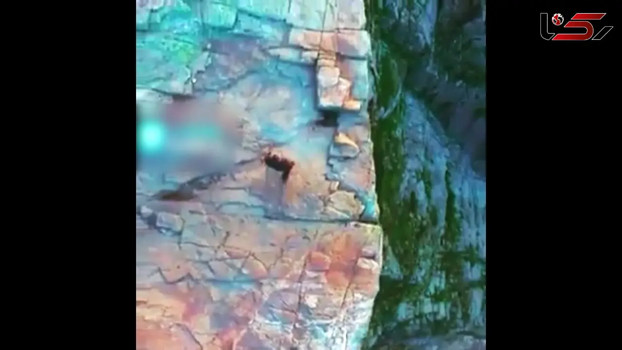 سفر عمیق به دره نروژ + فیلم