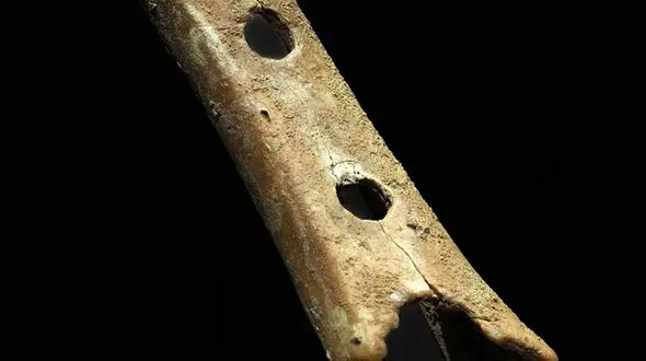 این استخوان خرس است یا فلوت؟! 