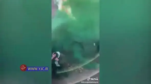 شوخی جهنمی در جشن تعیین جنسیت+ فیلم
