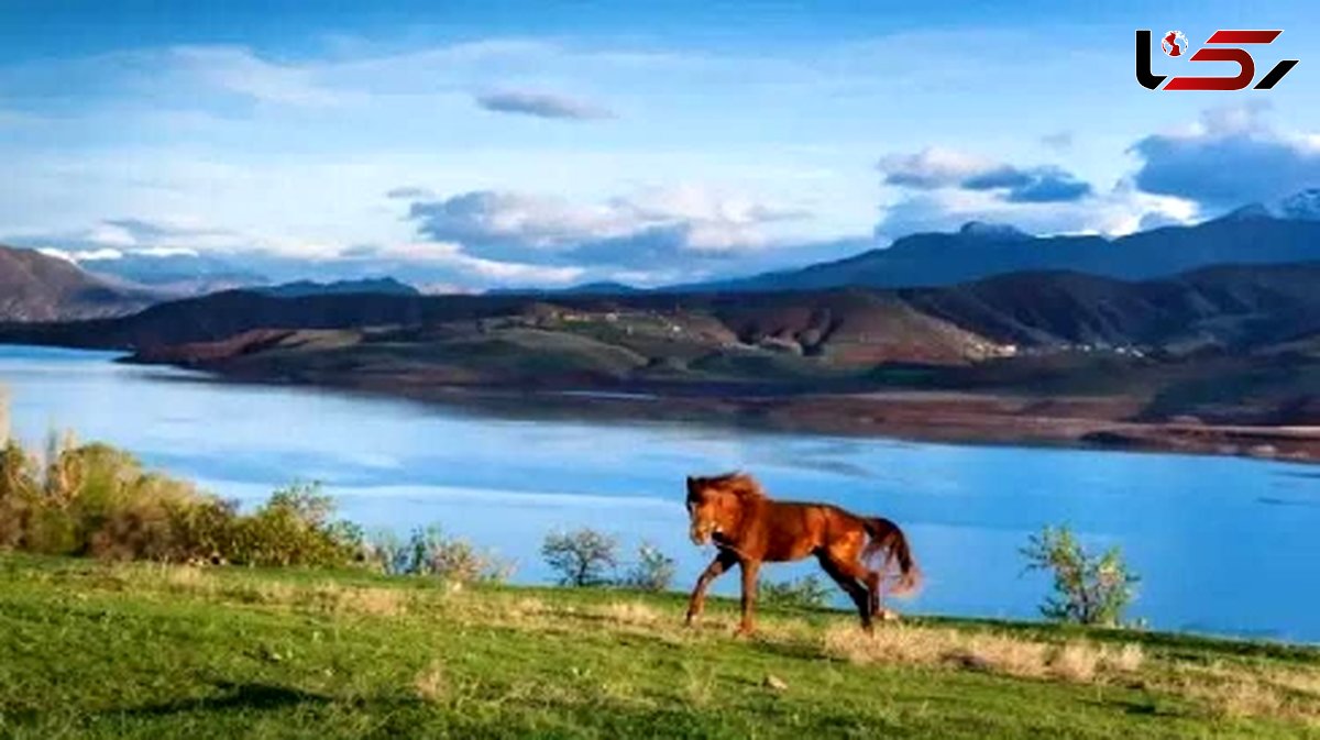 طالقان؛ جاذبه‌ ای سبز در قلب البرز برای سفرهای پایدار