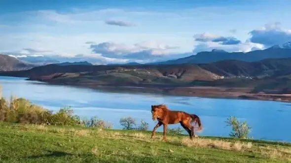 طالقان؛ جاذبه‌ ای سبز در قلب البرز برای سفرهای پایدار
