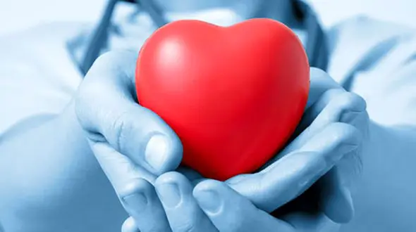 مرجان محبی در زنجان اشک همه را درآورد / بیست و هشتمین اهدای عضو در سال جاری