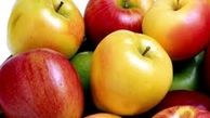 ایران به فیلیپین سیب صادر می‌کند
