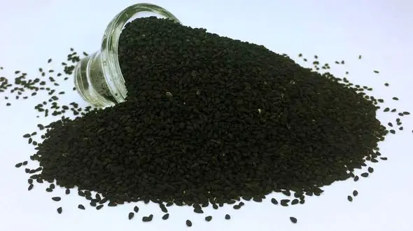 لاغری و بلغم زدایی با سیاهدانه