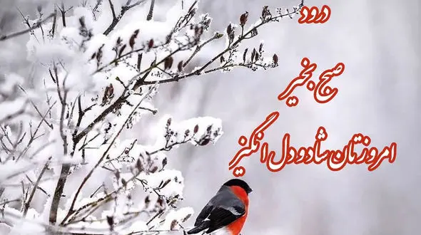 فال ابجد 12 دی + فیلم 