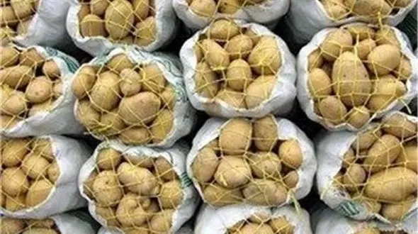 سیب‌زمینی ارزن شد/ موز کیلویی ۹۵۰۰ تومان