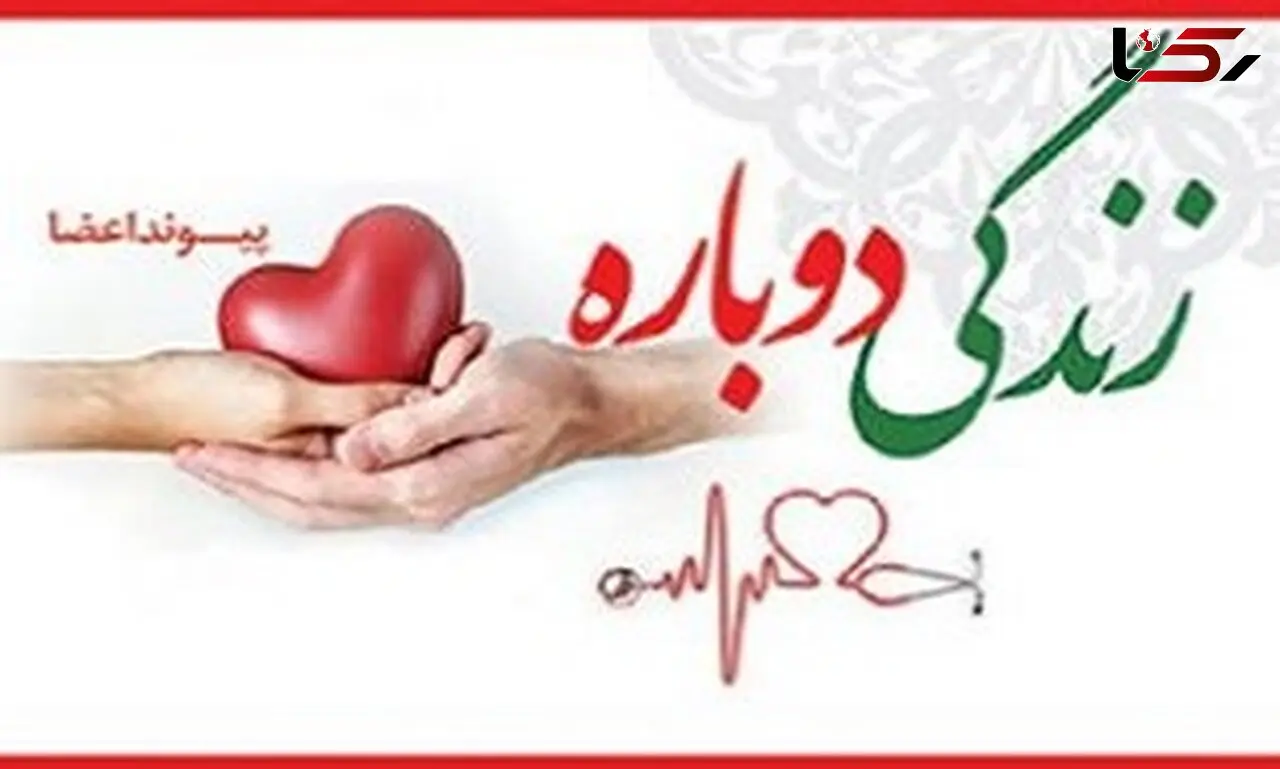 علیرضا نوری در زنجان اشک همه را درآورد