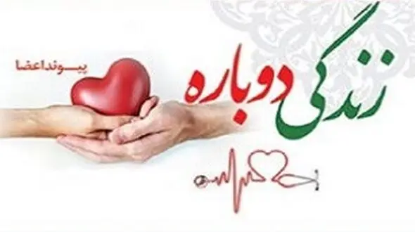 استادکار ساختمانی در سنندج 6 نفر را از مرگ نجات / خود او دیگر زنده نیست+ عکس