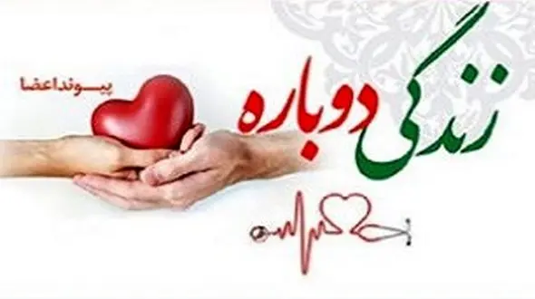 علیرضا نوری در زنجان اشک همه را درآورد