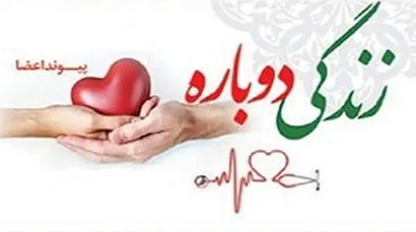 استادکار ساختمانی در سنندج 6 نفر را از مرگ نجات / خود او دیگر زنده نیست+ عکس