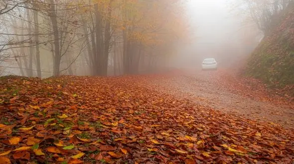 عکس های پاییزی و طبیعت بکر؛ هنر عکاسی محمدرضا رضازاده