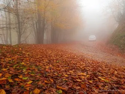 عکس های پاییزی و طبیعت بکر؛ هنر عکاسی محمدرضا رضازاده
