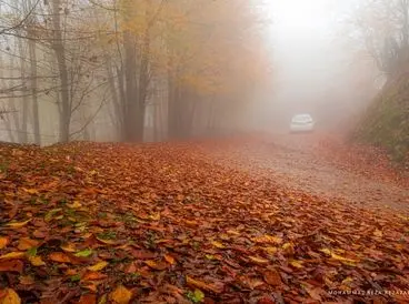 عکس های پاییزی و طبیعت بکر؛ هنر عکاسی محمدرضا رضازاده