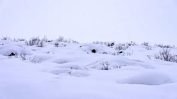 ببینید/ محاصره یک روستا در اصفهان با بیش از 3 هزار نفر زیر برف + فیلم