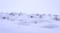 عکسی دلهره آور از دفن شدن خانه‌ها زیر برف در کوهرنگ