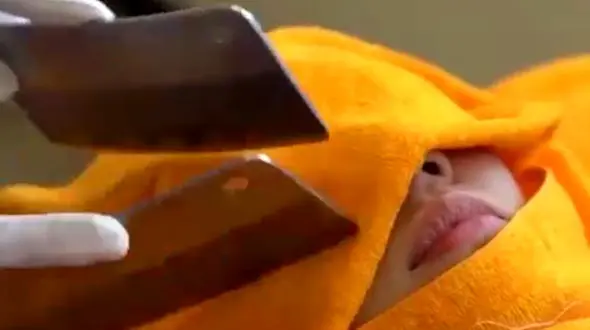 ماساژ با ساطور / قصاب های مهربان را ببیند + فیلم