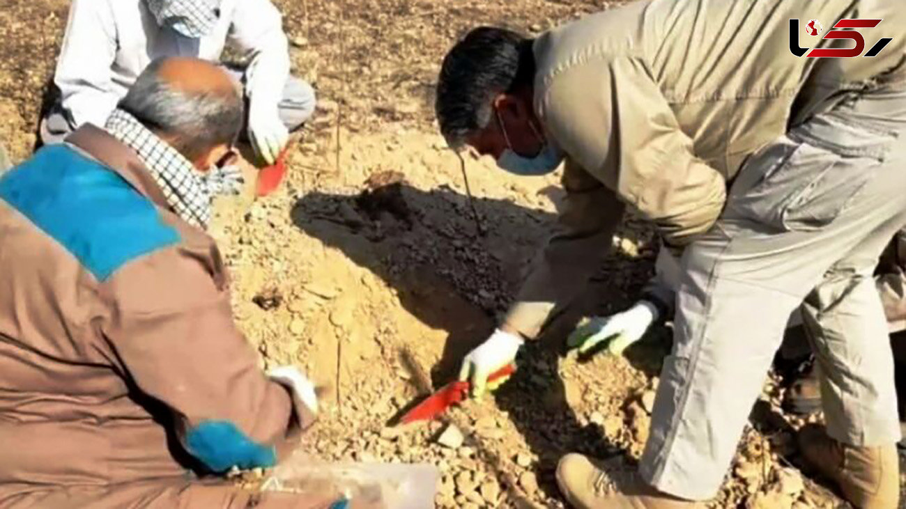 پیکر مطهر 10 شهید در مهران کشف شد
