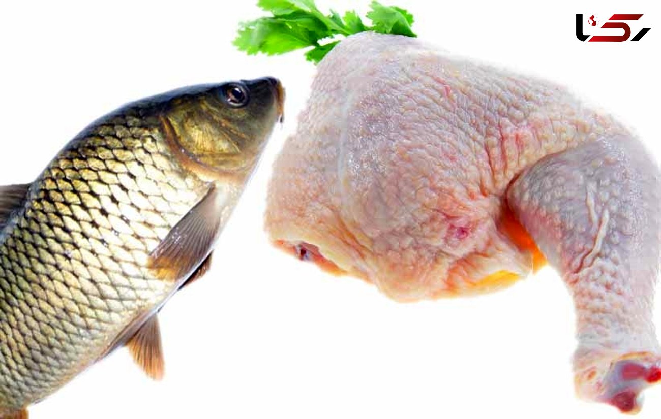 کاهش قیمت مرغ به ۶۸۰۰ تومان/نرخ جدید انواع ماهی در بازار